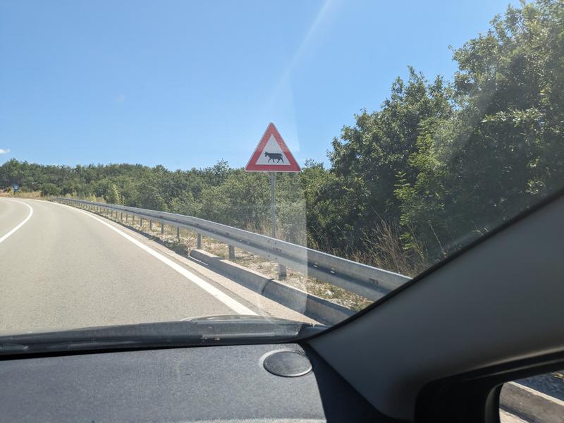 That's a cow, not a goat