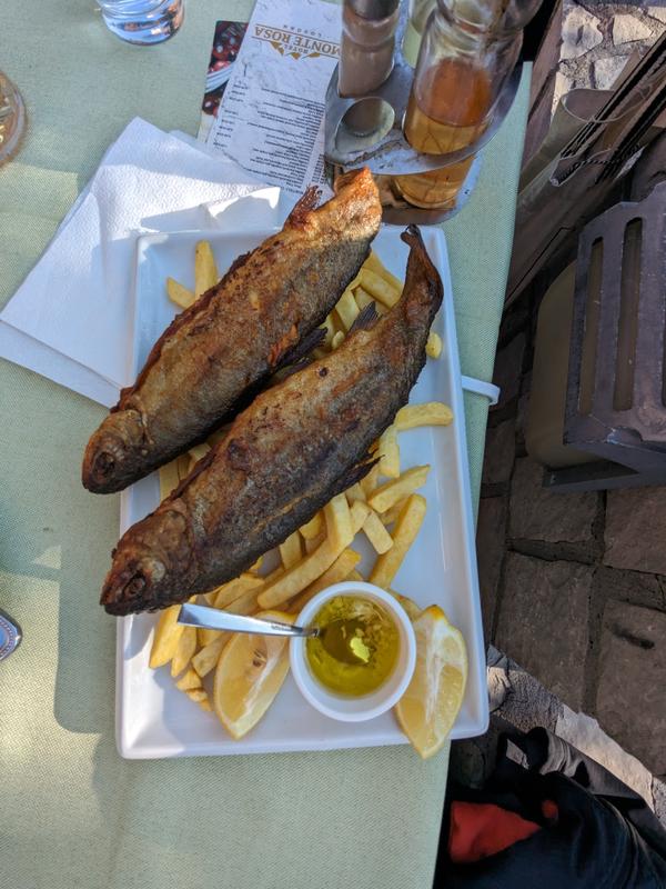 Fried trout