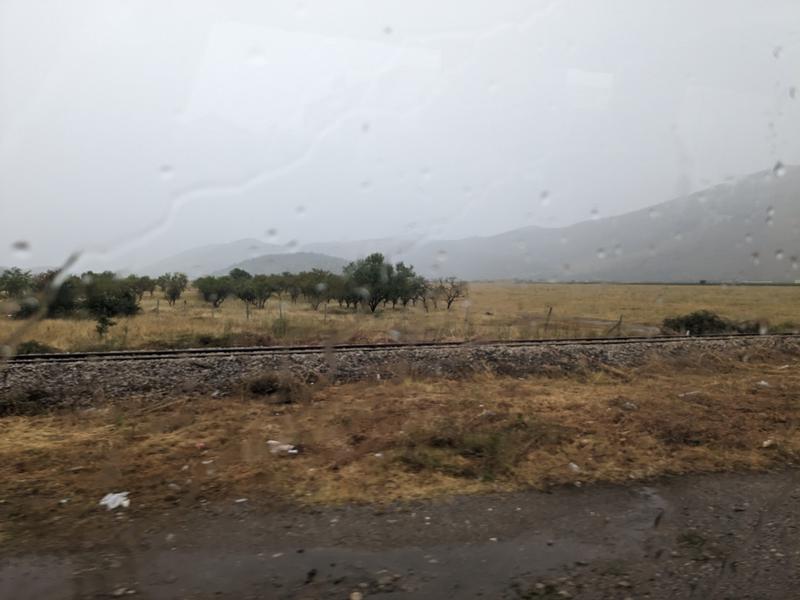 View out the bus window