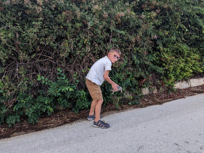 Ben saves a tortoise on the road