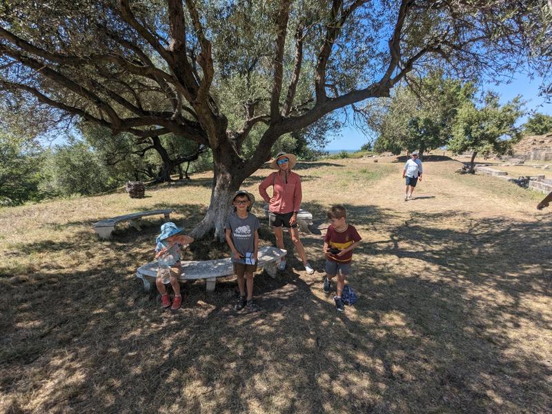 Getting some shade under an Olive