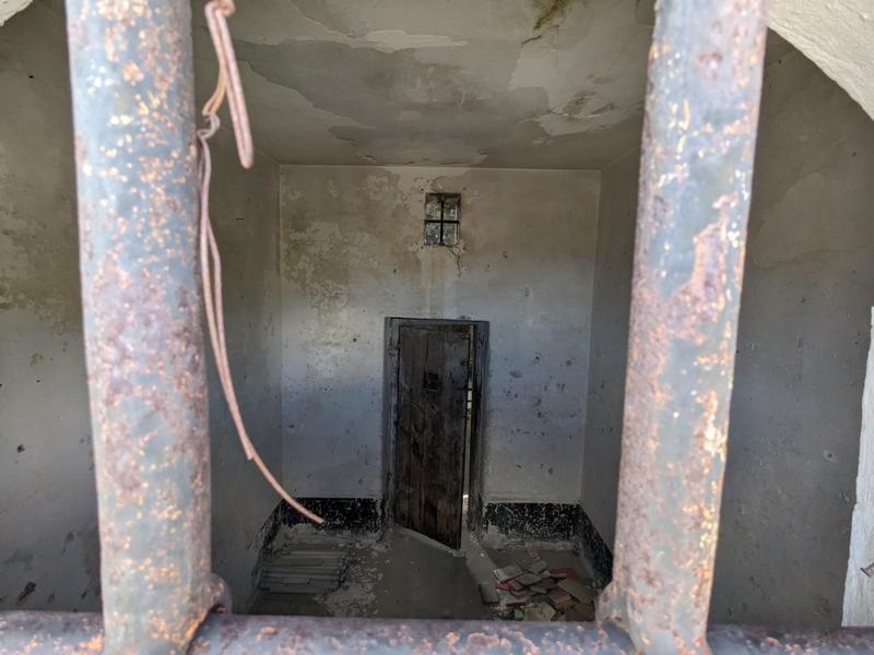 Looking inside a cell