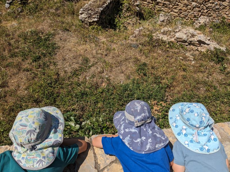 Kids checking out 2 tortoises