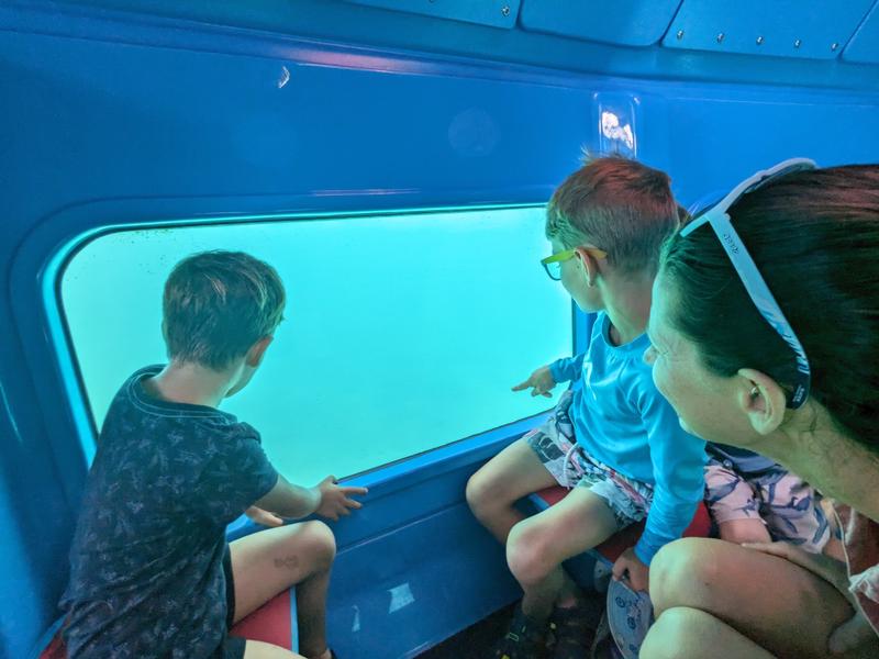 I think I see a sea snake!