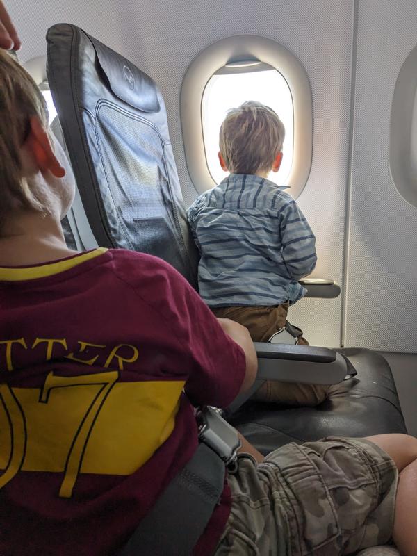 The joy of looking out the window