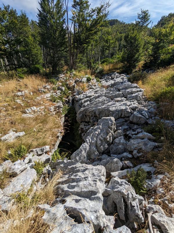 A limestone crevice