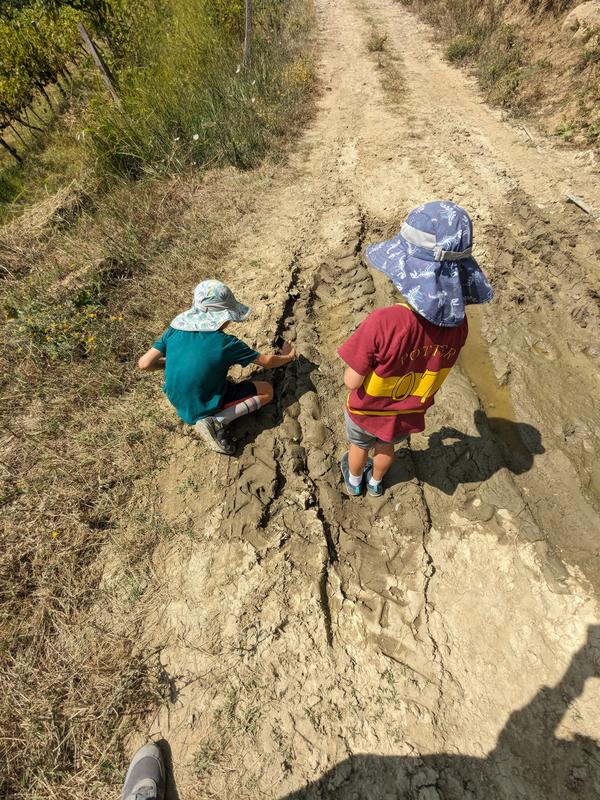 Kids inspecting a frog