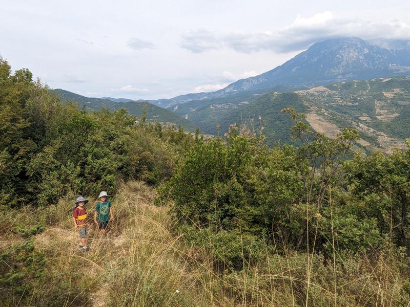 The trail is getting bushier and bushier