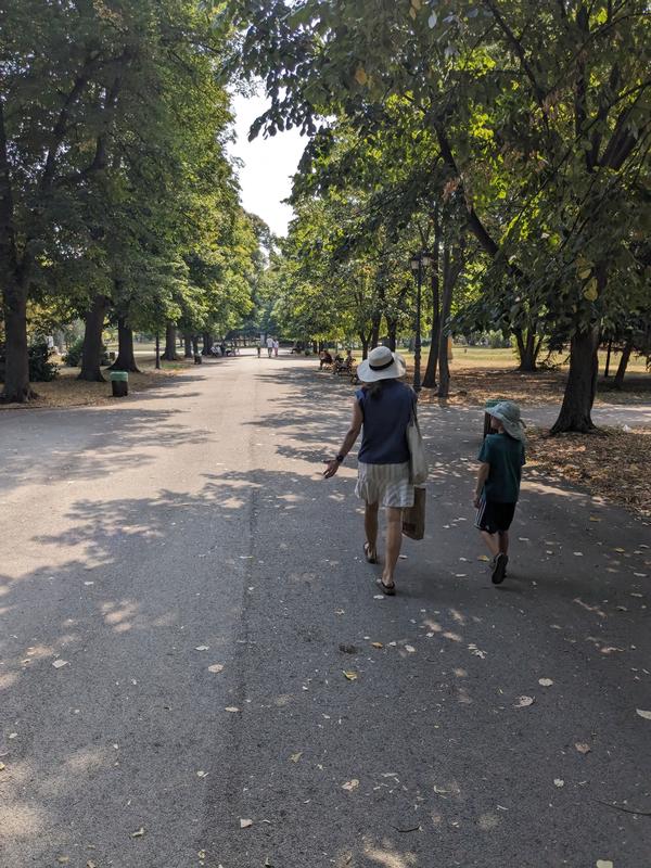 Walking through the park