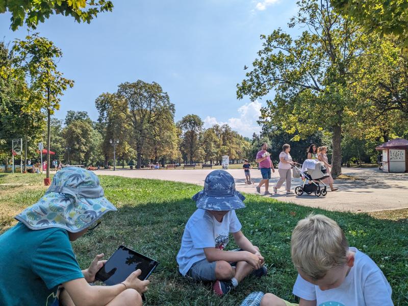 Reading in the shade