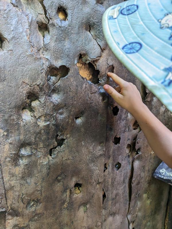 The door to the church