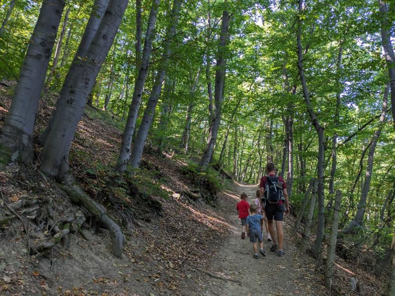 The hike to the falls