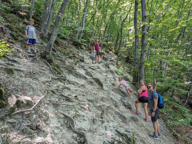 The hike to the falls