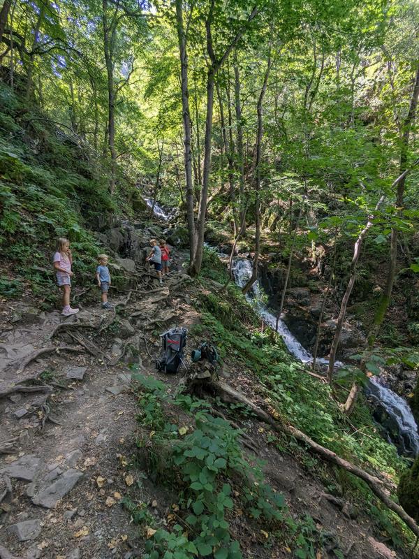 The hike to the falls