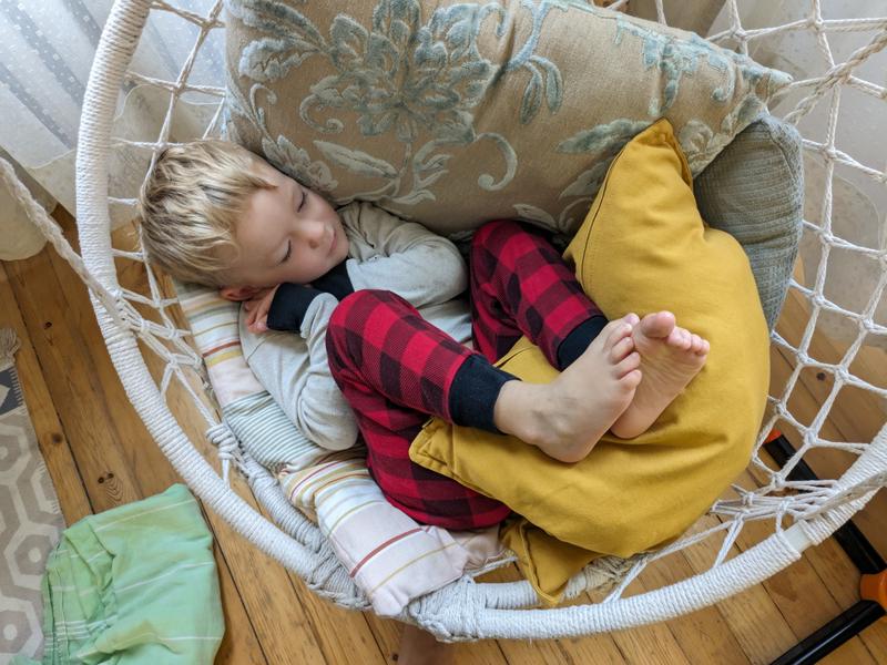 Little bird in his nesst